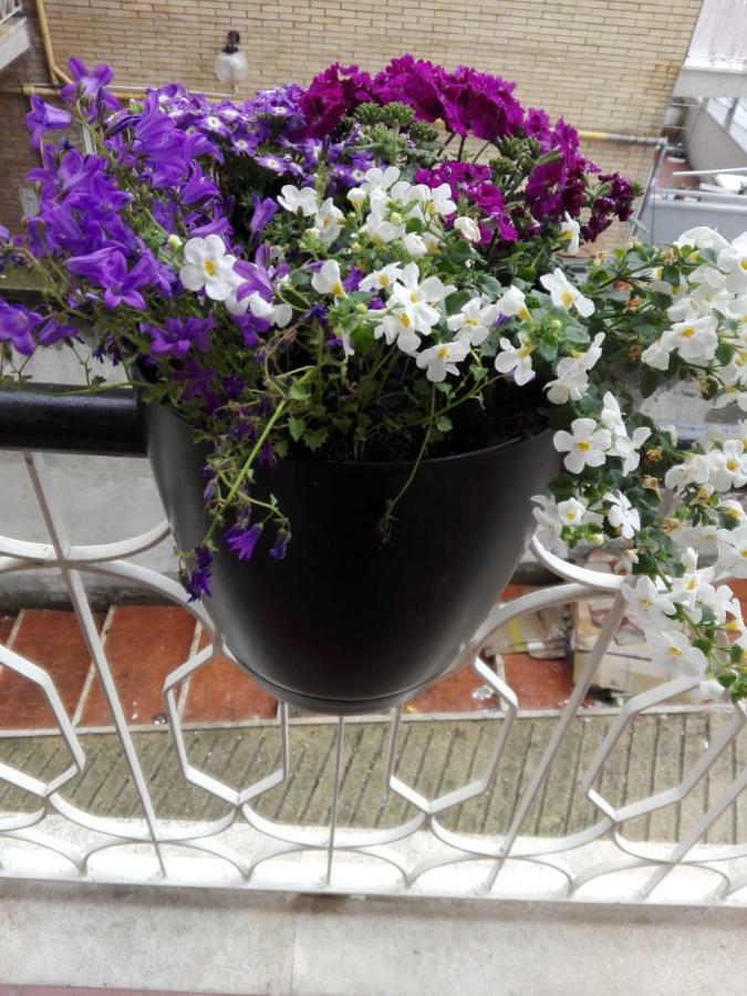 Interno 1 Ciampino Roma Luxury Apartment Con Balcone ภายนอก รูปภาพ